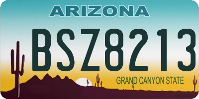 AZ license plate BSZ8213