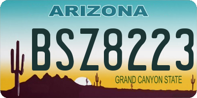 AZ license plate BSZ8223