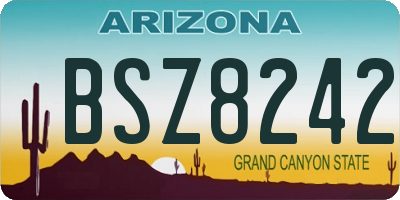 AZ license plate BSZ8242