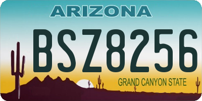 AZ license plate BSZ8256