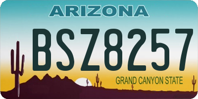 AZ license plate BSZ8257