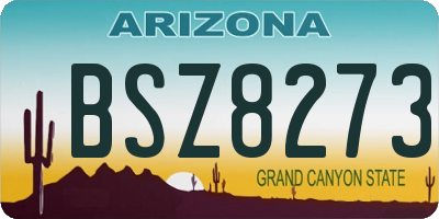 AZ license plate BSZ8273