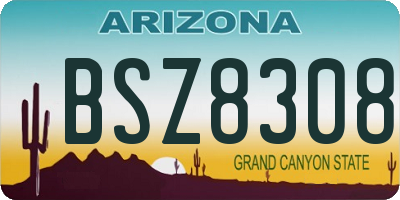 AZ license plate BSZ8308