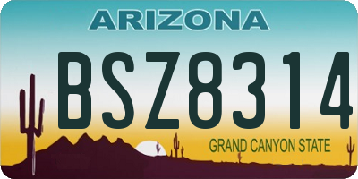 AZ license plate BSZ8314