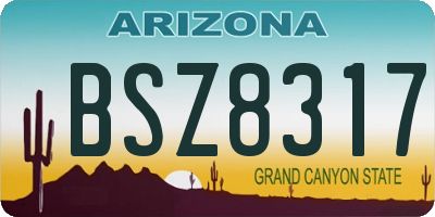 AZ license plate BSZ8317