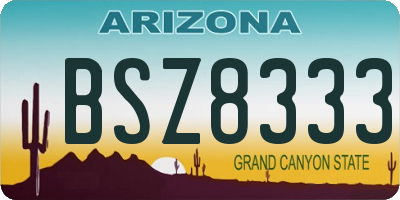 AZ license plate BSZ8333