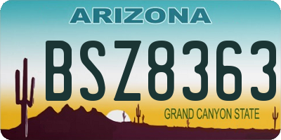 AZ license plate BSZ8363