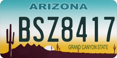 AZ license plate BSZ8417