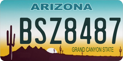 AZ license plate BSZ8487