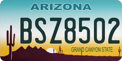 AZ license plate BSZ8502