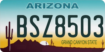 AZ license plate BSZ8503