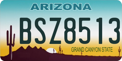 AZ license plate BSZ8513