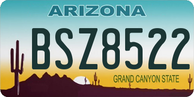 AZ license plate BSZ8522