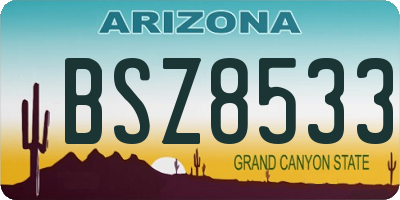 AZ license plate BSZ8533