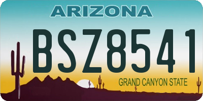 AZ license plate BSZ8541