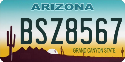 AZ license plate BSZ8567