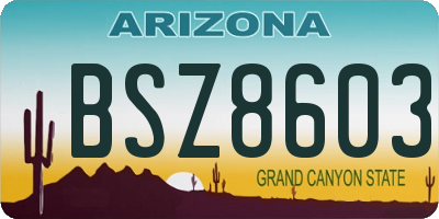 AZ license plate BSZ8603