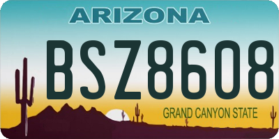 AZ license plate BSZ8608