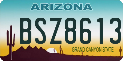 AZ license plate BSZ8613