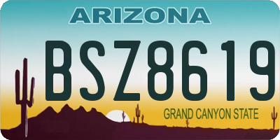 AZ license plate BSZ8619