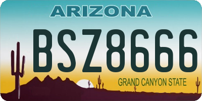 AZ license plate BSZ8666