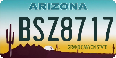 AZ license plate BSZ8717