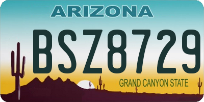 AZ license plate BSZ8729