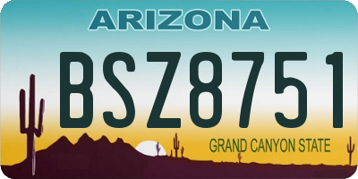 AZ license plate BSZ8751