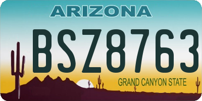 AZ license plate BSZ8763