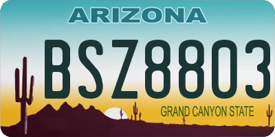 AZ license plate BSZ8803