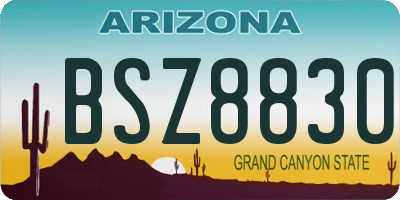 AZ license plate BSZ8830