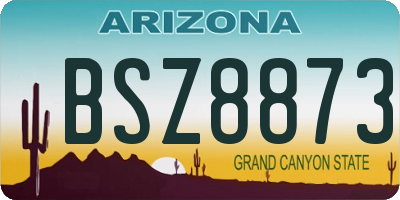 AZ license plate BSZ8873