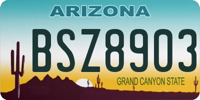 AZ license plate BSZ8903