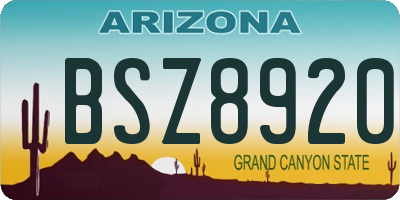 AZ license plate BSZ8920