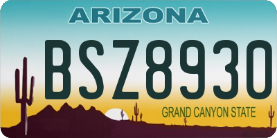 AZ license plate BSZ8930