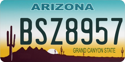 AZ license plate BSZ8957