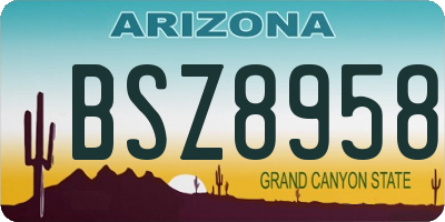 AZ license plate BSZ8958