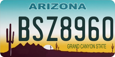 AZ license plate BSZ8960