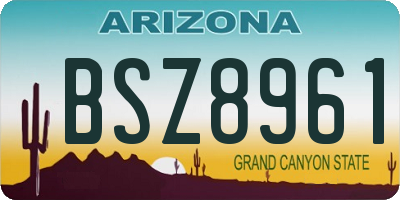 AZ license plate BSZ8961