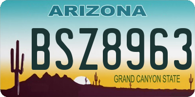 AZ license plate BSZ8963