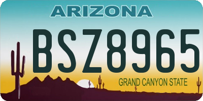 AZ license plate BSZ8965