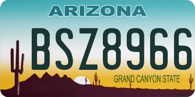 AZ license plate BSZ8966