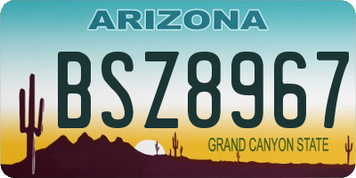 AZ license plate BSZ8967