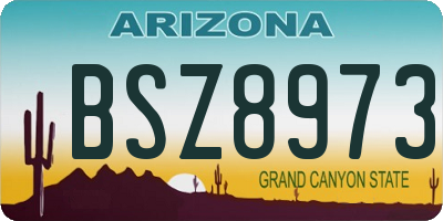 AZ license plate BSZ8973