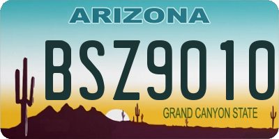 AZ license plate BSZ9010