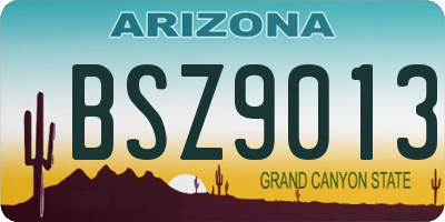 AZ license plate BSZ9013