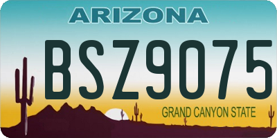 AZ license plate BSZ9075