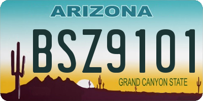 AZ license plate BSZ9101