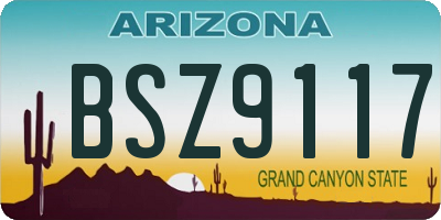 AZ license plate BSZ9117