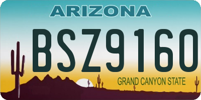 AZ license plate BSZ9160